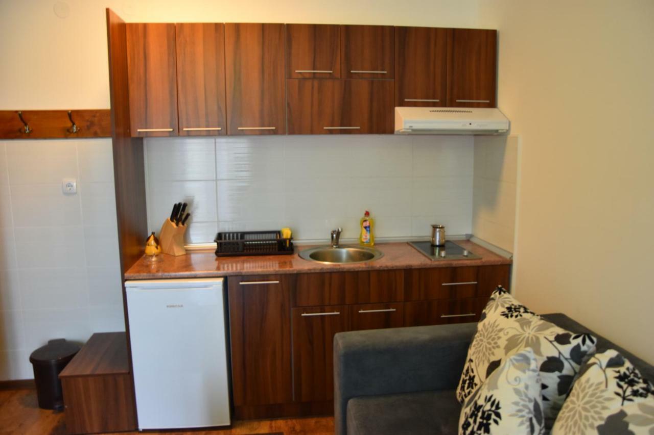 Vila Natasa โคเปานิก ภายนอก รูปภาพ